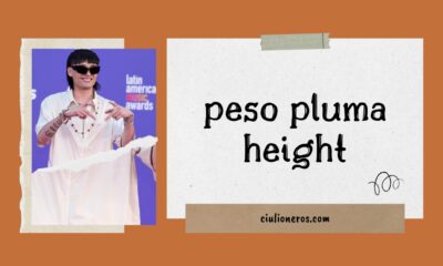 peso pluma height